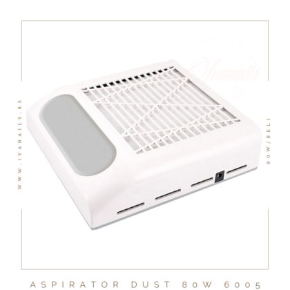 Aspirator Dust – 80W – 6005 | Profesionalni aspirator sa filterom